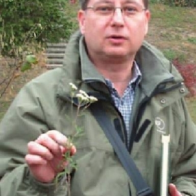 dr. Báthory Gábor